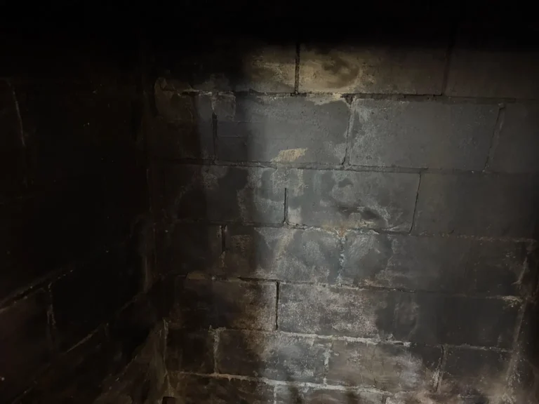 Firebox masonry and mortar joints in a Shrewsbury fireplace